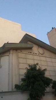خرید کلنگی